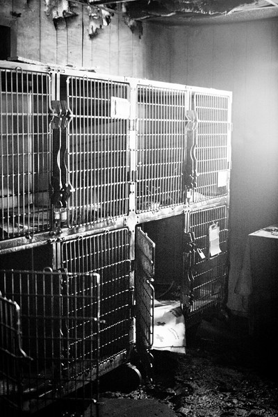 IMAGE: http://MelissaP.smugmug.com/photos/260364959_x5N5G-L.jpg