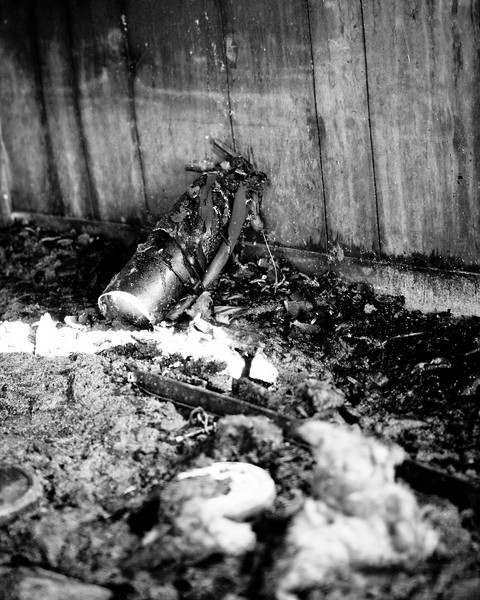 IMAGE: http://MelissaP.smugmug.com/photos/260365000_FUA9c-L.jpg